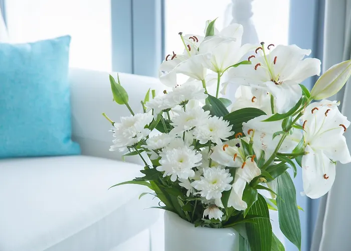 Naxos Rock Στελίδα